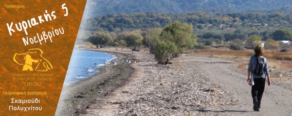 Πεζοπορία Κυριακή 5 Νοεμβρίου 2017