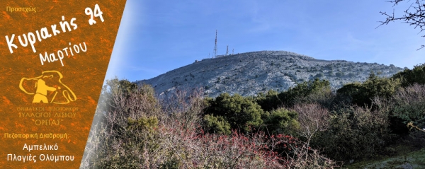 Πεζοπορίες από το Αμπελικό στις πλαγιές του Ολύμπου την Κυριακή 24 Μαρτίου 2024