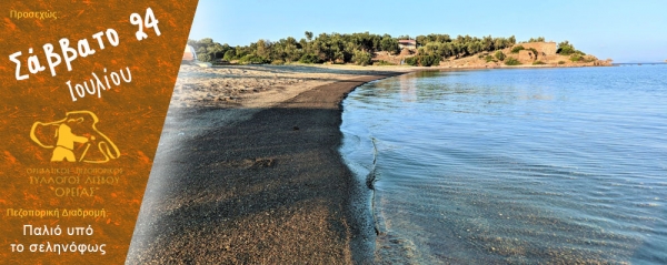 Πεζοπορία στον Παλιό υπό το σεληνόφως Σάββατο 24 Ιουλίου 2021