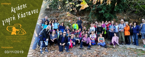 03/11/2019 ➡ Αγιάσος, γιορτή Κάστανου