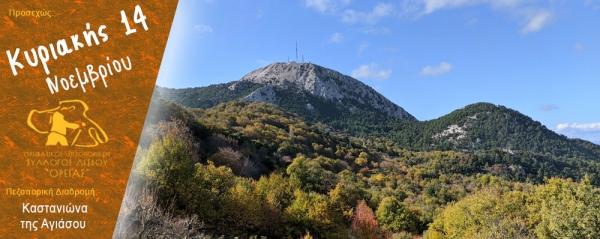 Πεζοπορία στον καστανιώνα της Αγιάσου την Κυριακή 14 Νοεμβρίου