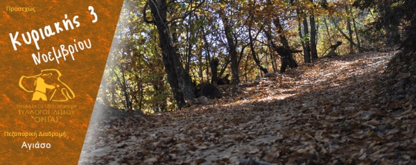 Πεζοπορία 03 Νοεμβρίου 2019