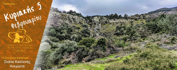 Πεζοπορία από Σκάλα Καλλονής προς Ανεμώτια την Κυριακή 5 Φεβρουαρίου 2023