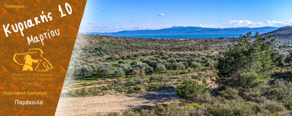 Πεζοπορίες στα Παράκοιλα την Κυριακή 10 Μαρτίου 2024