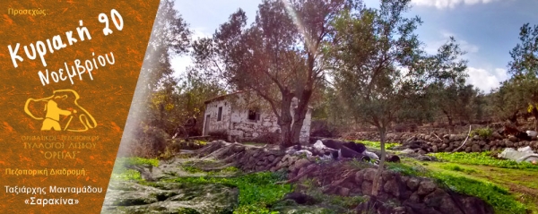 Πεζοπορία Κυριακής 20 Νοεμβρίου 2016