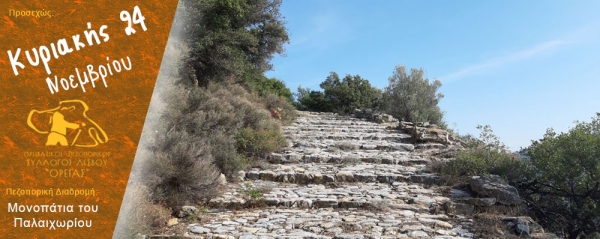 Πεζοπορία 24 Νοεμβρίου 2019