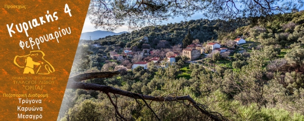 Πεζοπορία στα Κολυμβάτερα, στις Μηλιές και την Τούμπα