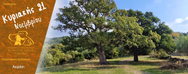 Πεζοπορία στο Ακράσι την Κυριακή 21 Νοεμβρίου