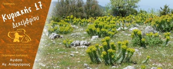 Πεζοπορία Κυριακή 17 Δεκεμβρίου 2017