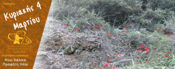 Πεζοπορία Κυριακής 4 Μαρτίου 2018